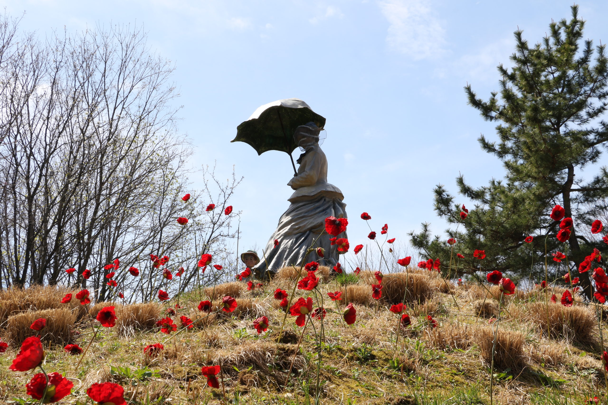 Field of Poppies